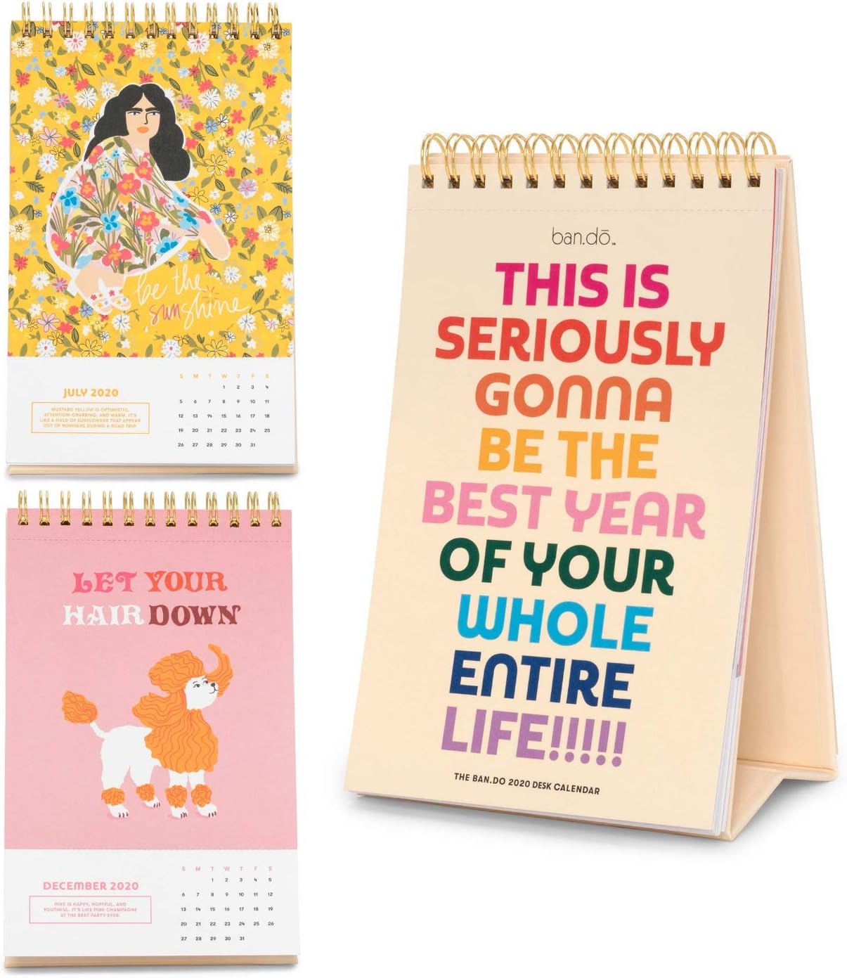 Ban.do 12-Month Desk Calendar, Dated January 2020 - December 2020 with  Colorful Month View Artwork, Rainbow Colors: Amazon.co.uk: Office Products