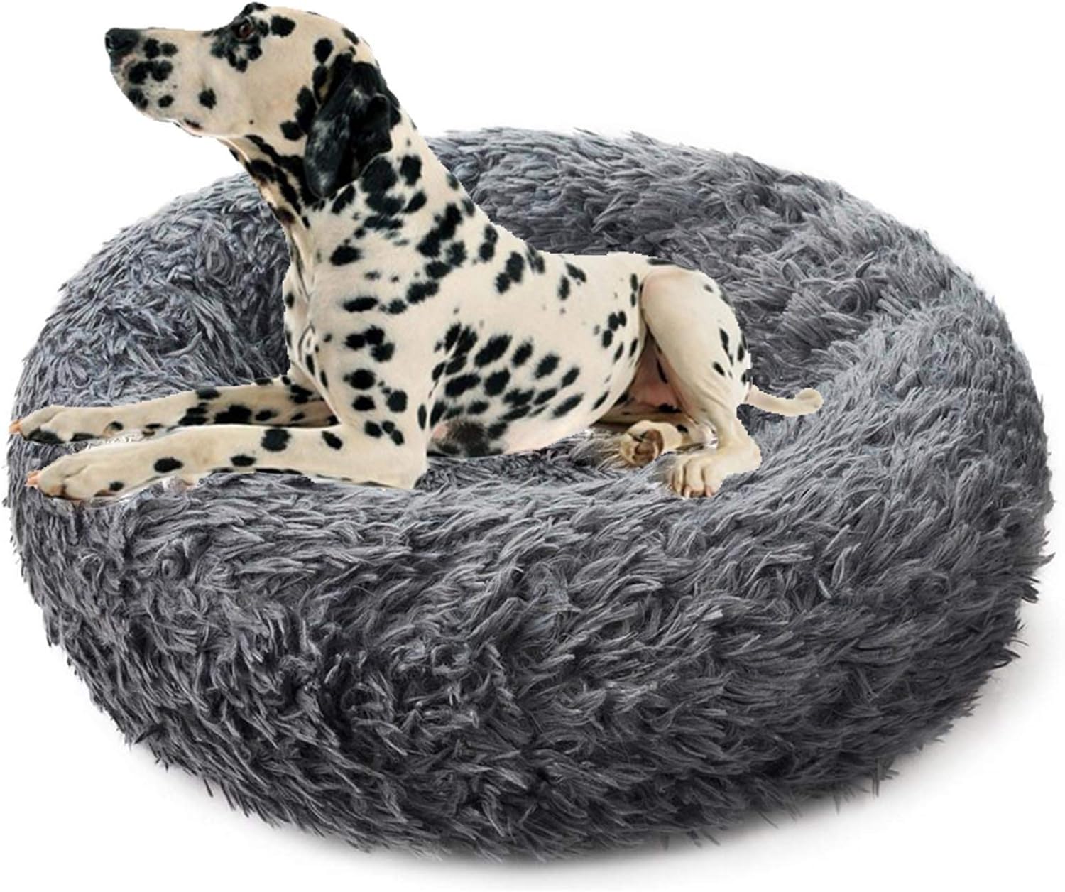 cama para perros antiestres