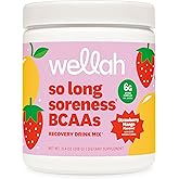 Wellah So Long Soreness BCAA Powder (Strawberry Mango Flavored) 30 Servings - with Hydration Complex