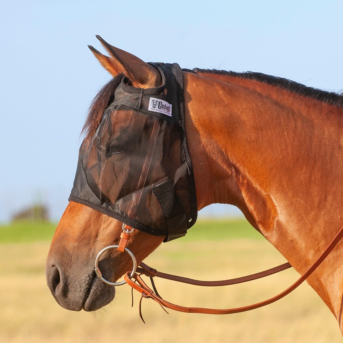 Photo 1 of Cashel Quiet Ride Horse Fly Mask, Standard, Horse