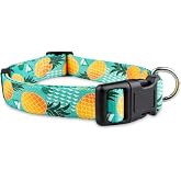 Limeloot Pineapple Dog Collar, Cute Adjustable Dog Collar for Boy and Girl Dogs, Small