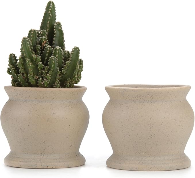 ComSaf 7.5CM Cactus Plant Pot Set of 2, Small Succulent Planter Herb