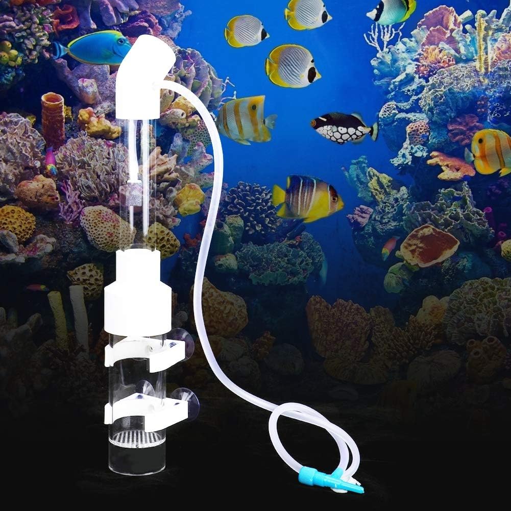 Yuehuam Fish Hatchery Incubator Acrylic Aquarium Cichlids Tumbler