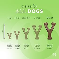 Benebone Wishbone Durable Dog Chew Toy for