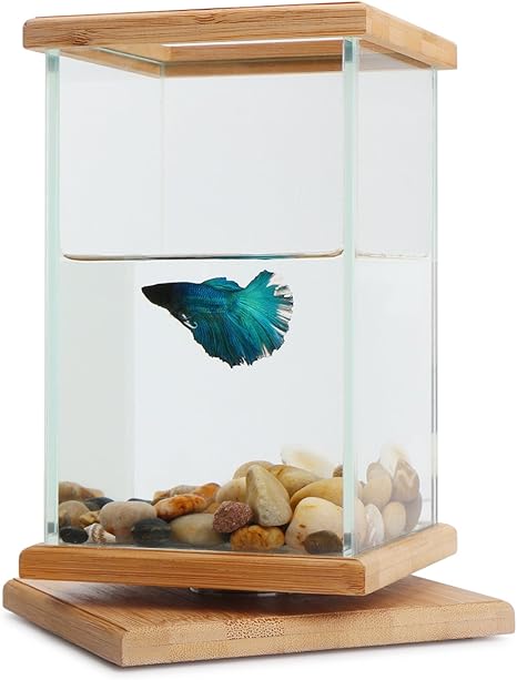 Rotatable Fish Bowls Segarty Cool Unique Design Small Square