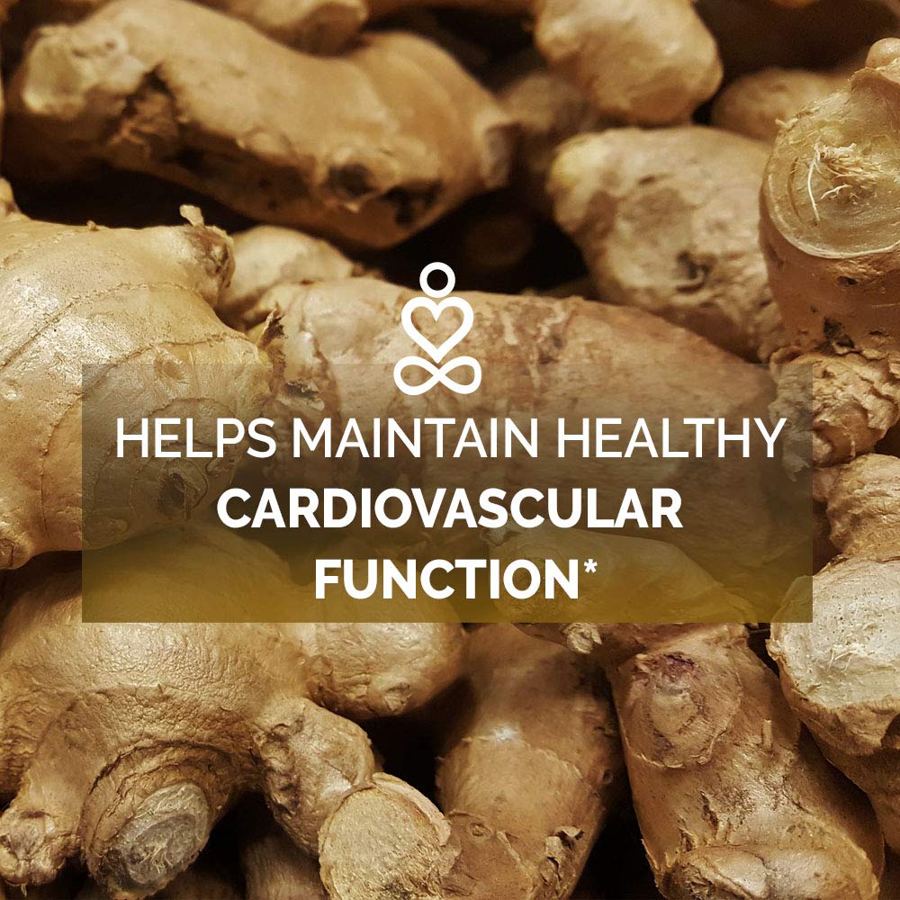 Ginger Root Capsules by Ahana Nutrition Ginger Supplement to Support