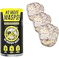 Luigi's Wasp Away - Wasp Nest Decoy - Environmentally Friendly - for Indoor or Outdoor Use in Patio, Pool or Garden (3 Pack)