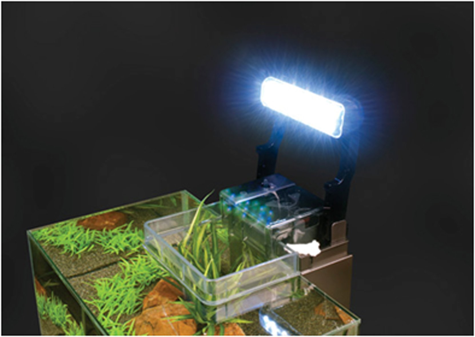 Fluval Edge Aquarium with LED Light Buy Online in UAE. Pet Supplies