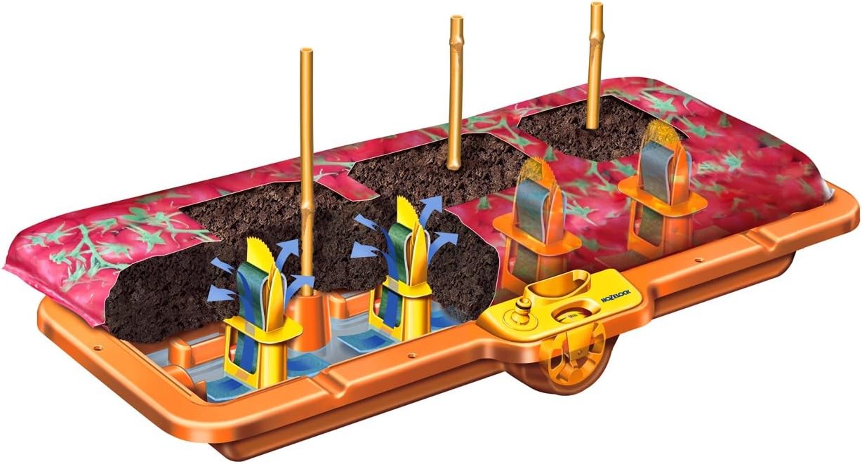 HOZELOCK, Self-Contained Vegetable Garden Easy Plant 3-in-1 : Indoor Mini-garden, Self-contained Watering for up to 14 Days - Image 4