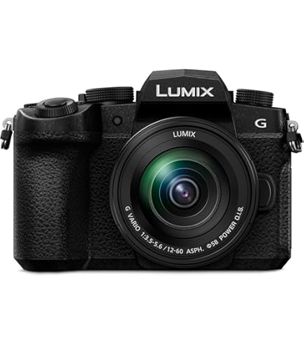 Amazon.com : PANASONIC LUMIX G9 Mirrorless Camera Body, 20.3