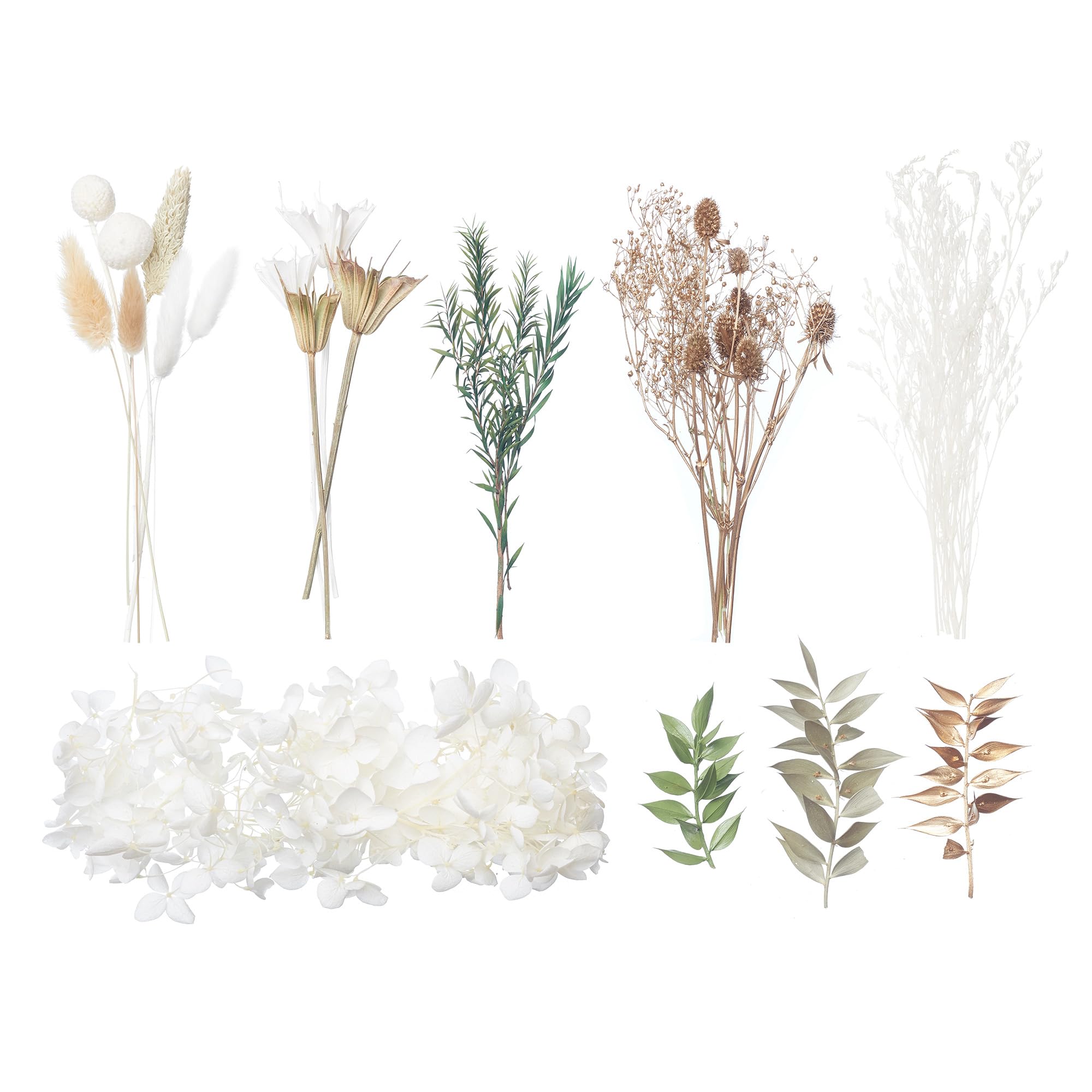 The Baked Studio - Deluxe Dried Flower Set Containing Lagurus, Ruscus, Octagonal Flowers, Hydrangea, Craspedia, Limonium, Sea Holly, Melaleuca Bracteata & Million Star (Sage, White, Natural & Gold)