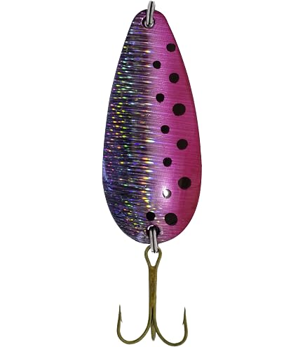 Amazon.com : Sierra Spoon Hologram Lure, Rainbow Trout, 1/2-Ounce : Fishing  Spoons : Sports & Outdoors