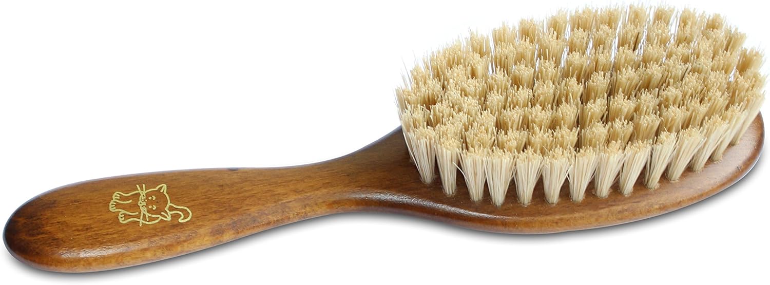 bristle brush cat