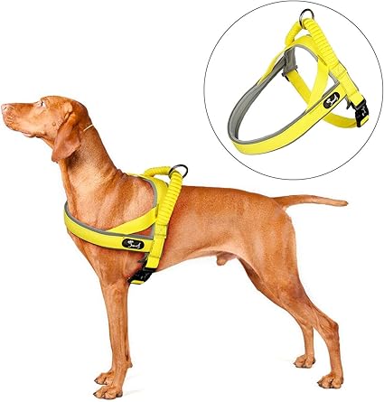 gooby choke free freedom harness