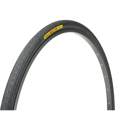 Amazon.com : Panaracer Pasela Protite Wired Urban Tyre