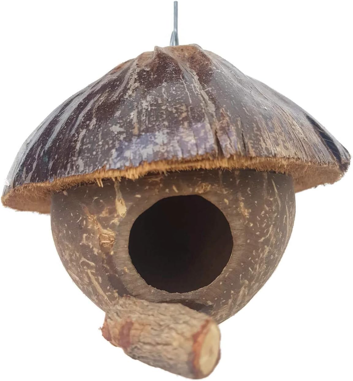 Amazon Com Mudmud Handmade Natural Coconut Shell Bird Nest House