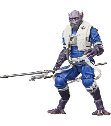 Amazon.com: Star Wars The Black Series Sandtrooper 6