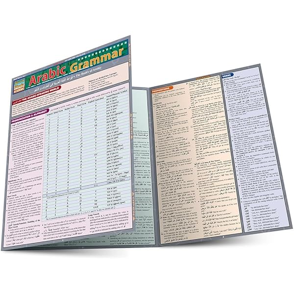Amazon.com: 501 Arabic Verbs: Fully Conjugated in All Forms