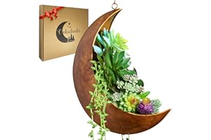 OAKADOAKS Hanging Moon Planter - Moms Day Gifts for Women - Moon Room Decor - Unique Planters for Succulents,Air Plant, Cactus, Artificial Plants- Plant Lover Gifts - Boho,Hippie, Witchy, Birthdays Gifts