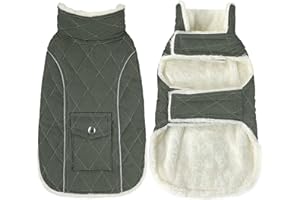 Malier Dog Winter Coat, Windproof Dog Cold Weather Coats with Real Pocket, Winter Extra Warm Pet Coat Fleece Jacket Reflective Clothes for Small Medium Large Dogs and Puppy (Green, Medium)