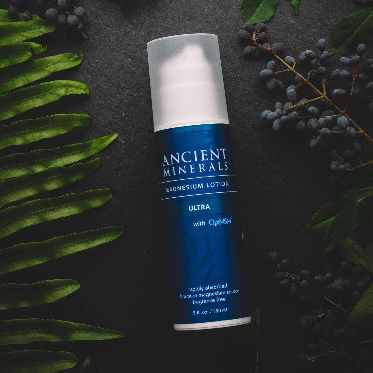 Ancient Minerals Magnesium Lotion ULTRA with MSM - Pure Genuine Zechstein Magnesium Lotion Supplement with MSM for Topical Application (5oz) : Beauty