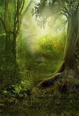 Amazon Com Aofoto 5x7ft Enchanted Foggy Forest Background Magic Woods Photography Backdrop Dreamy Fairytale Tree Kid Child Boy Girl Lover Artistic Portrait Photoshoot Studio Props Video Back Drop Wallpaper Camera
