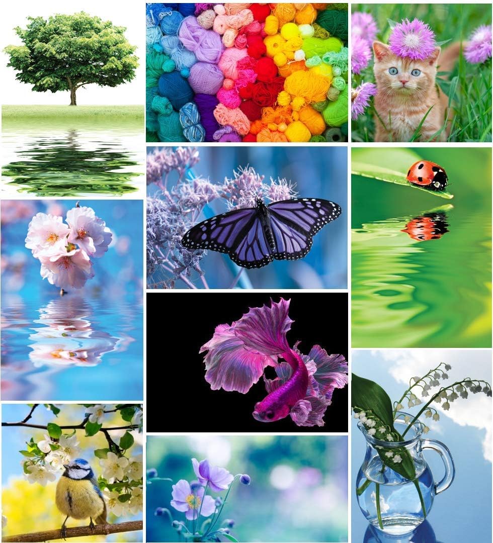 50 Bright And Beautiful Postcards - A Simple And Elegant Pack Of Postcards To Help Make Anyone's Day Better (Without Envelope, Postcard Size C6)