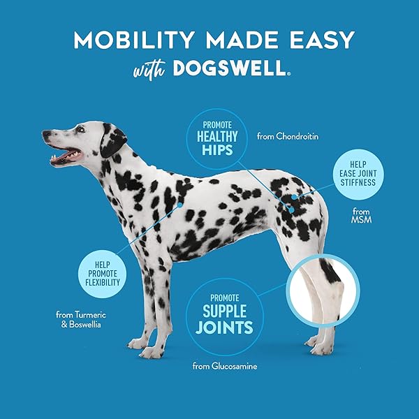 DOGSWELL HIP AND JOINT SUPPLEMENT FOR DOGS – SOFT CHEWS WITH GLUCOSAMINE, CHONDROITIN, MSM, BOSWELLIA & TURMERIC, 1 POUND