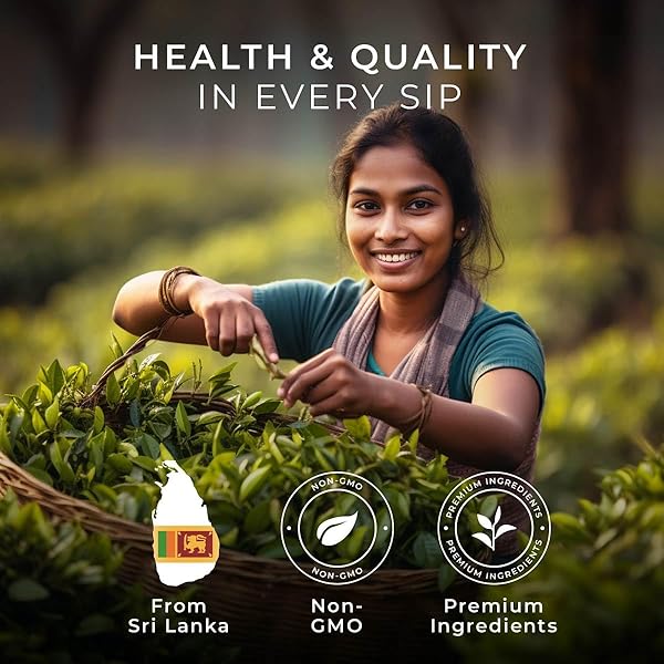 GYA TEA CO ENGLISH BREAKFAST BLACK TEA POD (16 CT) – HIGH CAFFEINE TEA RICH IN BOLD & MALTY FLAVOR PROFILE – KICKSTART THE DAY FOR REFRESH & ENERGY