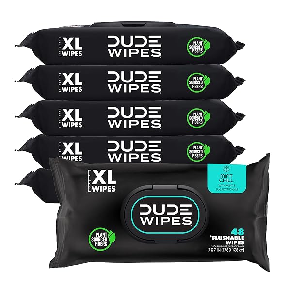 DUDE WIPES – FLUSHABLE WIPES – 6 PACK, 288 COUNT – MINT CHILL – VITAMIN-E, ALOE, EUCALYPTUS & TEA TREE OILS – SEPTIC AND SEWER SAFE