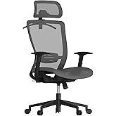 FLEXISPOT Ergonomic Office Chair, High Back Mesh Swivel Computer Chair, Executive Office Desk Chairs, with Adjustable Lumbar Support/2D Headrest/Lockable Backrest, OC3 Mesh Seat, Gray