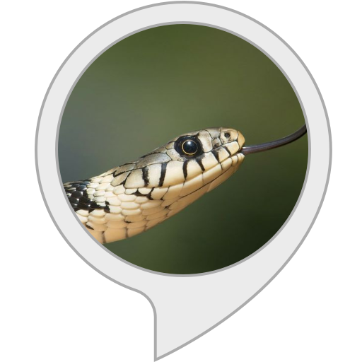 Amazon.in Snake Facts Alexa Skills