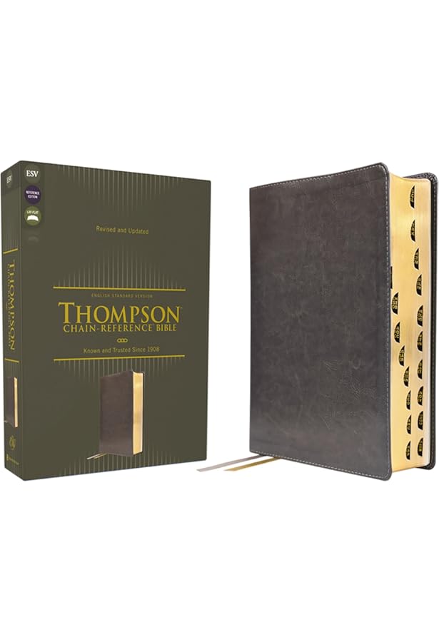 ESV, Thompson Chain-Reference Bible, Leathersoft, Gray, Red Letter