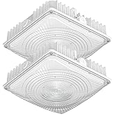40W 60W 80W LED Canopy Light Outdoor, Super Bright 3CCT 3500K-5000K IP65 Waterproof Outdoor Carport Ceiling Light, 120V-277V for Commercial Canopy Lights, Gas Station, Shop, ETL DLC(2 Pack White)