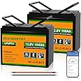 ECO-WORTHY 12V 200Ah (2 pack 100Ah) LiFePO4 Lithium Bluetooth Battery with Low-Temp Protection, Built-in BMS, Up to 15000+ Li