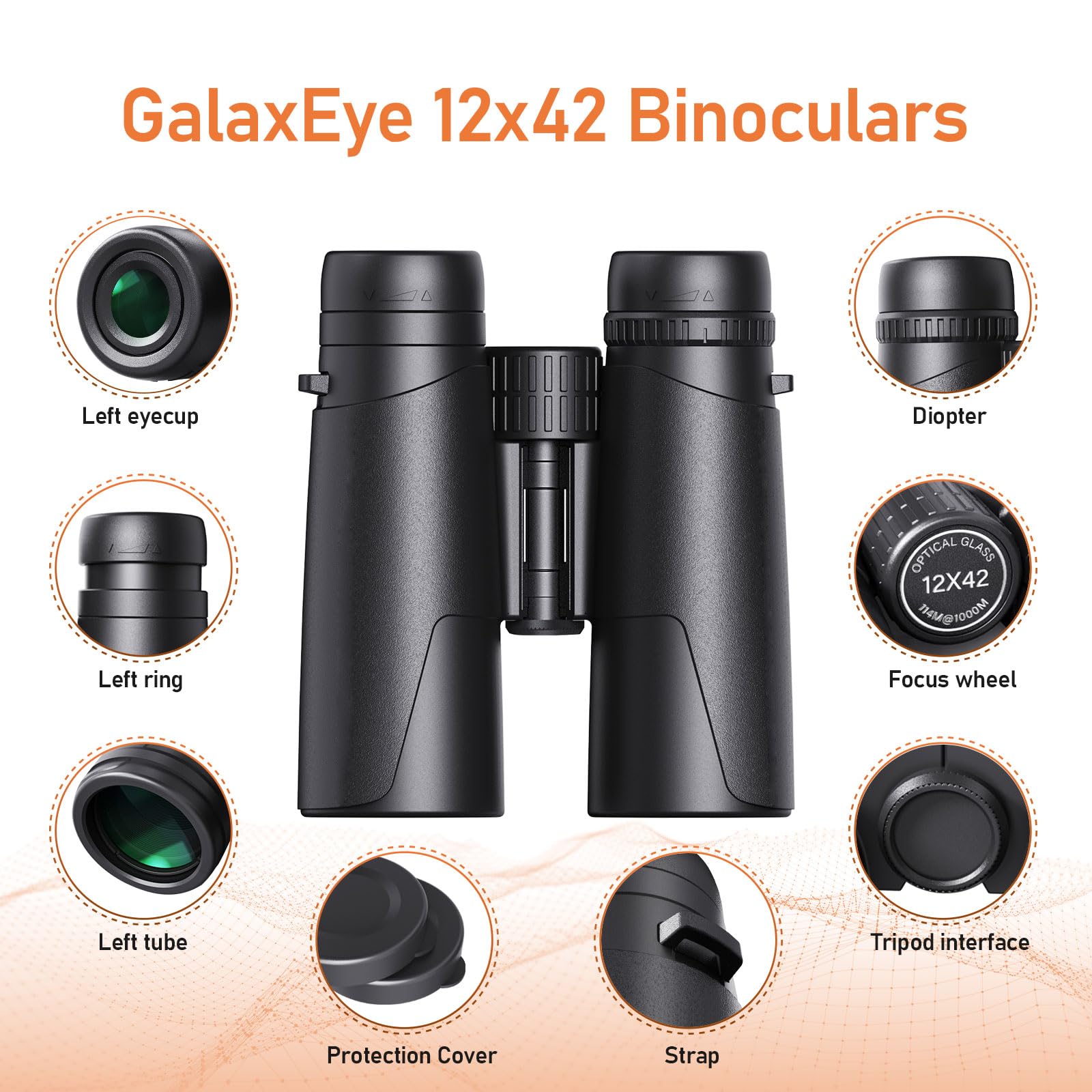 Binoculars for Adults 12x42 GalaxEye Compact with Phone Adapter Large View Easy Focus with HD BAK4 Prism FMC Lens for Bird Watching, Hunting, Stargazing, Cruise, Travel