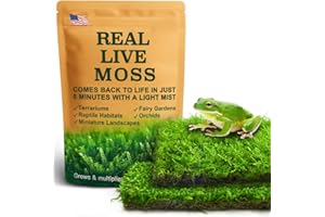LUCKYRUNES Live Moss Duo Pack – 2 Varieties Mixed Moss for Reptile Terrariums, Amphibian Habitats, Bonsai, Vivariums
