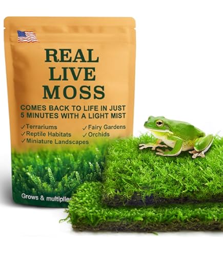 【ひかり】MOSS LEGIT 151cm Amazon.com : Real Live Hypnum Moss (8