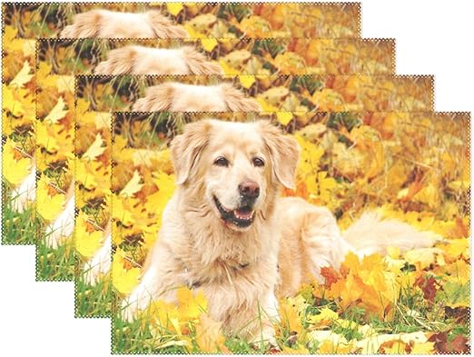 autumn golden retrievers