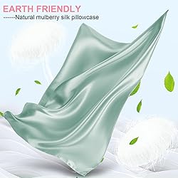 Mulberry Silk Pillow Cases 2 Pack Standard Size