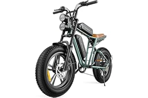 ENGWE M20 Electric Bike for Adults - 1000W 28mph Moped Ebike 48V13A Single/48V26A Dual Battery 20*4.0" Fat Tire All Terrain Off Road E-Bike Full Suspension Max 94Miles Long Range 7-Speed UL Certified