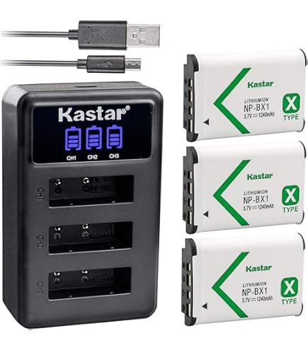 Amazon.com : Battery Charger for Sony HDR-CX240, HDR-CX405, HDR