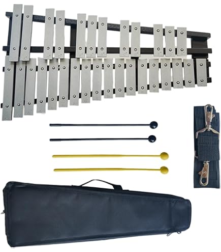 Amazon.com: Studio 49 AGd 2000 Alto Glockenspiel : Musical Instruments