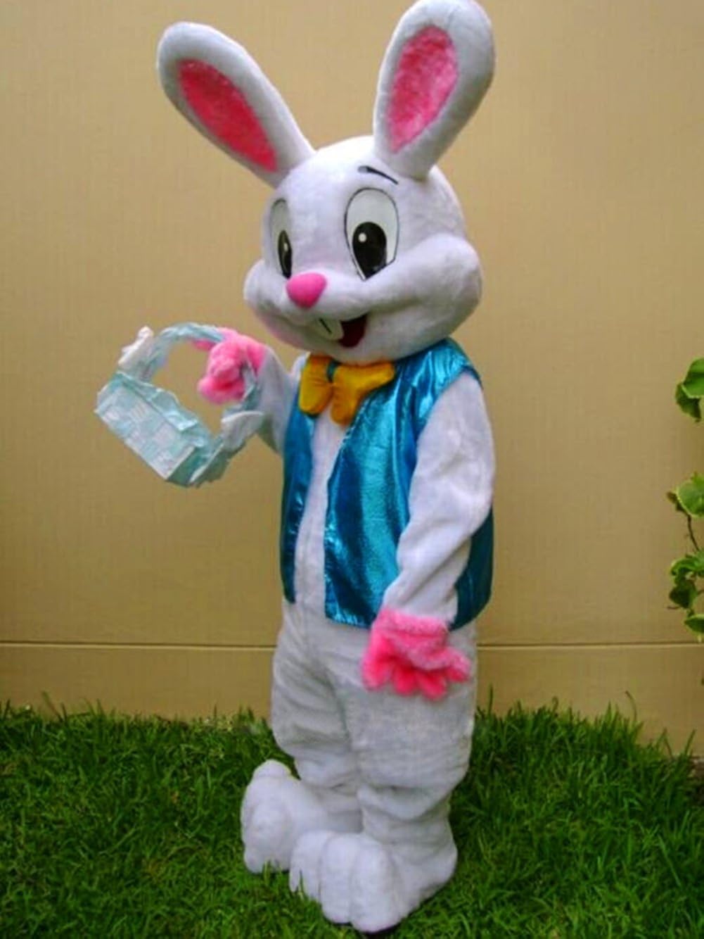 Easter Rabbit Bunny Rabbit Mascot Costume Adult Size Fancy Dress: Clothing