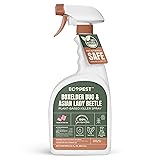Boxelder Bug & Asian Lady Beetle Spray