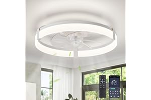 DWDVBL Ceiling Fans with Lights and Remote, 20'' Low Profile Ceiling Fans, 3000-6000K Dimmable Modern Flush Mount LED Fan Lig