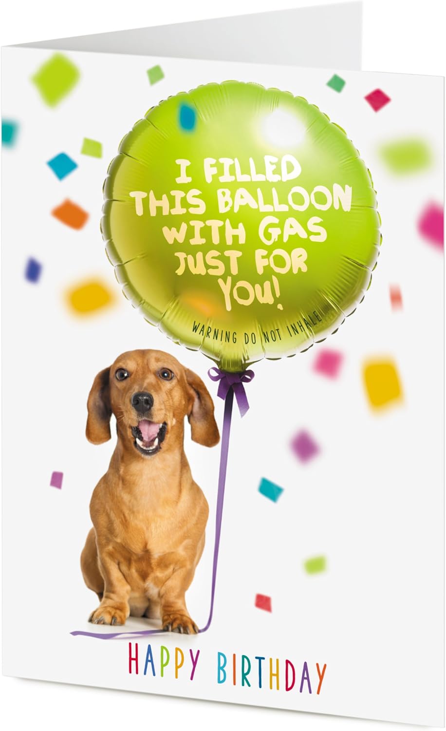 happy birthday dachshund funny