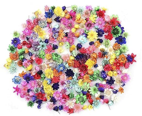 Amazon Dkklrr スターフラワー ドライフラワー 直径0 6 1cm 0個入り セット ミックス 花材 レジン用 ブロッサム インテリア 押し花 ミニ 小さい 人気 かわいい おしゃれ 手作り Diy 手芸 クラフト アクセサリーパー ハンドメイド 素材 マルチカラー 花だけ 飾り 撮影