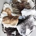 Assorted Bulk Grade Natural Rabbit Pelt with Fur (10" by 14") Rabbit Skins Fur Hide Leather for Decoration Crafts Cat Dog Toys Soft Professionally Tanned Sewing Quality 6pack