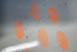Red Fluorescent Fingerprint Powder, 30ml